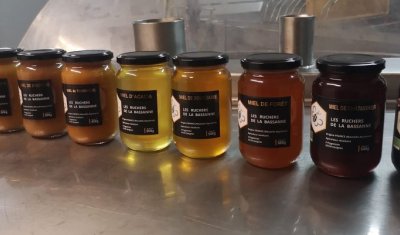 Pour une chandeleur gourmande et locale, optez pour le miel des Ruchers de la Bassanne