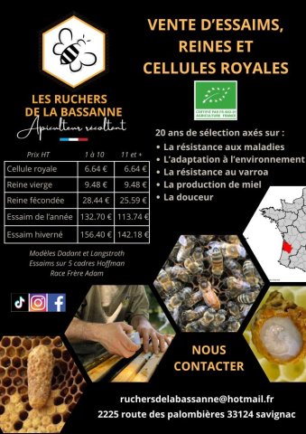 Vente d'essaims, reines et cellules royales de miel à Savignac