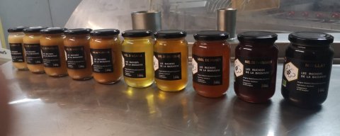 Pour une chandeleur gourmande et locale, optez pour le miel des Ruchers de la Bassanne