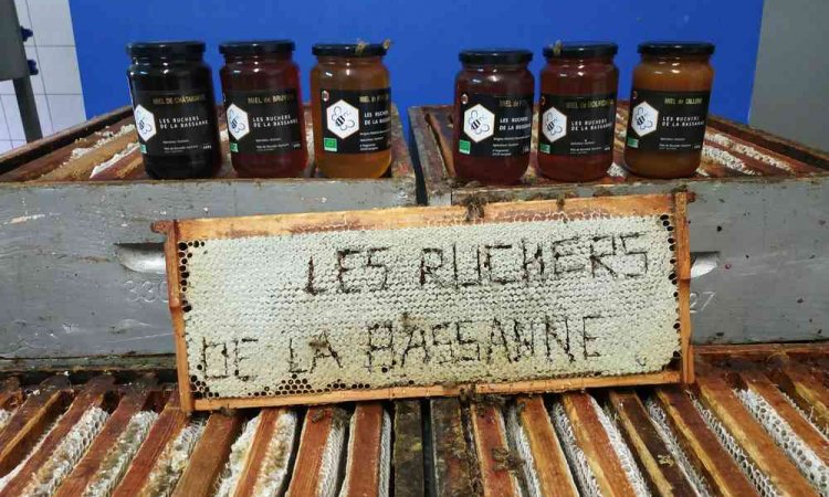 Apiculteur récoltant bio - Savignac - Les Ruchers de la Bassanne